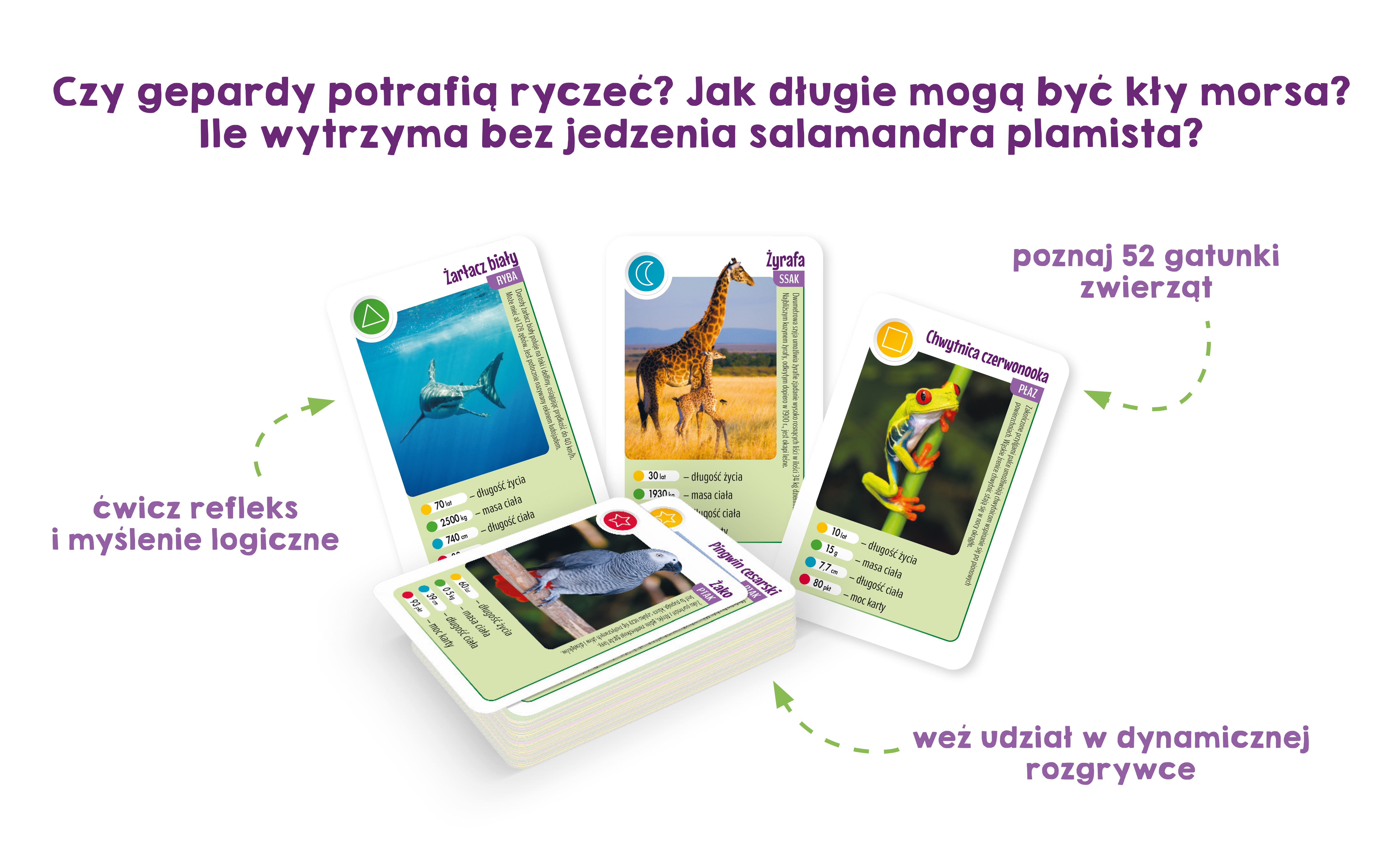 Środek gry karcianej Niesamowite zwierzęta Kapitan Nauka
